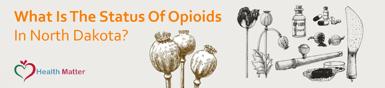 What Is The Status Of Opioids In North Dakota?