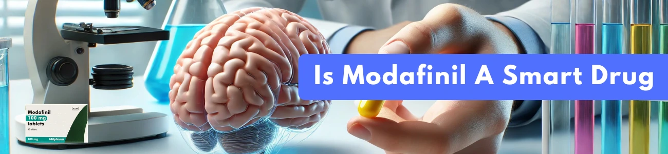 Is Modafinil A Smart Drug?