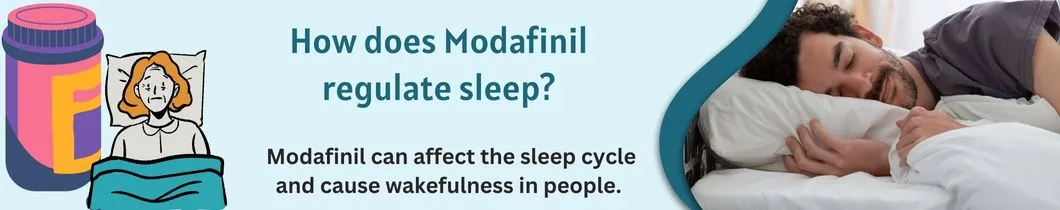 How-does-Modafinil-regulate-sleep