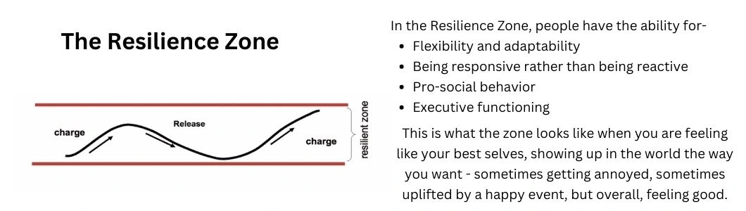 the-resilience-zone